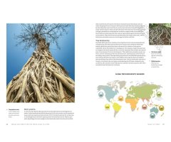 THE WORLD ATLAS OF TREES AND FORESTS. EXPLORING EARTH'S FOREST ECOSYSTEMS 2