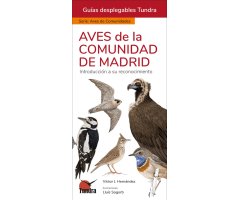AVES DE LA COMUNIDAD DE MADRID. INTRODUCCIÓN A LAS ESPECIES MÁS FRECUENTES. GUÍAS DESPLEGABLES TUNDRA