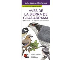 AVES DE LA SIERRA DE GUADARRAMA. INTRODUCCIÓN A LAS ESPECIES MÁS FRECUENTES. GUÍAS DESPLEGABLES TUNDRA