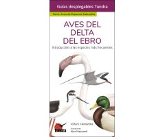 AVES DEL DELTA DEL EBRO. INTRODUCCIÓN A LAS ESPECIES MÁS FRECUENTES. GUÍAS DESPLEGABLES TUNDRA
