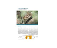 ATLAS DES OISEAUX MIGRATEURS DE FRANCE 2 VOLUMES 4