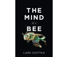 THE MIND OF A BEE