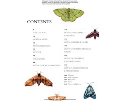 THE LIVES OF MOTHS. A NATURAL HISTORY OF OUR PLANET'S MOTH LIFE 2