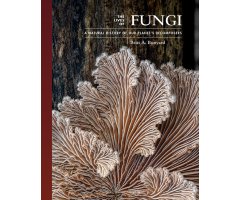THE LIVES OF FUNGI. A NATURAL HISTORY OF OUR PLANET\'S DECOMPOSERS