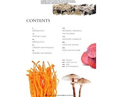 THE LIVES OF FUNGI. A NATURAL HISTORY OF OUR PLANET'S DECOMPOSERS 2