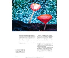 THE LIVES OF FUNGI. A NATURAL HISTORY OF OUR PLANET'S DECOMPOSERS 5