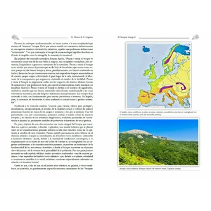 EL BOSQUE INTEGRAL_1