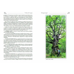 EL BOSQUE INTEGRAL 3