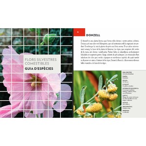 FLORS SILVESTRES COMESTIBLES. UNA GUIA + UN QUADERN DE CAMP 3