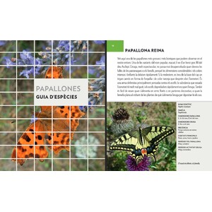 PAPALLONES. UNA GUIA + UN QUADERN DE CAMP 3