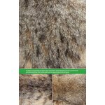 THE HAIR SCALE IDENTIFICATION GUIDE TO TERRESTRIAL CARNIVORES OF CANADA 3
