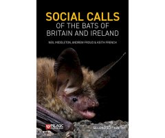 SOCIAL CALLS OF THE BATS OF BRITAIN AND IRELAND