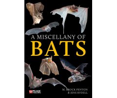 A MISCELLANY OF BATS