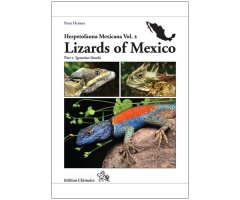 LIZARDS OF MEXICO PART 1 IGUANIAN LIZARDS