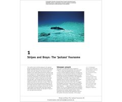 PENGUINS: THE ULTIMATE GUIDE 4