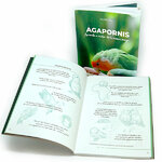 AGAPORNIS. APRENDE A CUIDAR DE TU NUEVO AMIGO 3