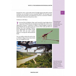 CROSSBILL NATURE GUIDES SOUTHERN PORTUGAL. FROM LISBON TO THE ALGARVE 3