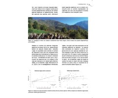 MIGRA VALL FOSCA. LA MIGRACIÓ D\'OCELLS PASSERIFORMES PEL PIRINEU CATALÀ 4