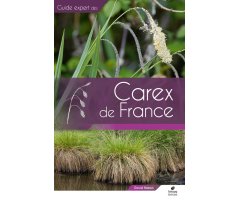 CAREX DE FRANCE