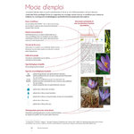 PLANTES DE MONTAGNE 3