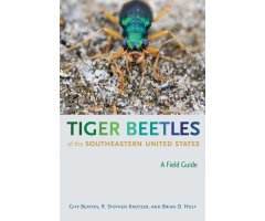 TIGER BEETLES OF THE SOUTHEASTERN UNITED STATES. A FIELD GUIDE
