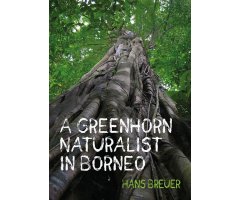 A GREENHORN NATURALIST IN BORNEO