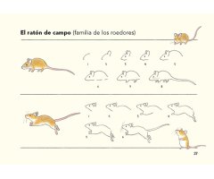 CÓMO SON LOS ANIMALES Y CÓMO DIBUJARLOS 2