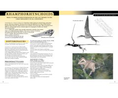 THE PRINCETON FIELD GUIDE TO PTEROSAURS 4