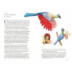 LA VUELTA AL MUNDO EN 80 AVES 2