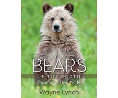 BEARS OF THE NORTH: A YEAR INSIDE THEIR WORLDS