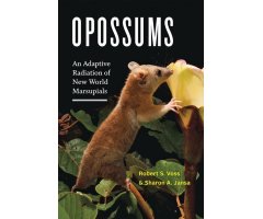 OPOSSUMS: AN ADAPTIVE RADIATION OF NEW WORLD MARSUPIALS