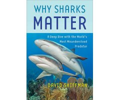 WHY SHARKS MATTER.  A DEEP DIVE WITH THE WORLD'S MOST MISUNDERSTOOD PREDATOR