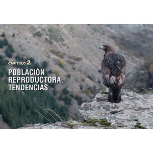 ÁGUILAS REALES Y HUMANOS EXPANSIÓN A PAISAJES DOMINADOS POR HUMANOS/GOLDEN EAGLES AND HUMANS EXPANSION TO HUMAN DOMINATED LANDSCAPES_1