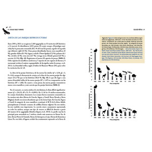 ÁGUILAS REALES Y HUMANOS EXPANSIÓN A PAISAJES DOMINADOS POR HUMANOS/GOLDEN EAGLES AND HUMANS EXPANSION TO HUMAN DOMINATED LANDSCAPES 4
