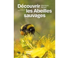 DÉCOUVRIR LES ABEILLES SAUVAGES