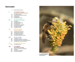 DÉCOUVRIR LES ABEILLES SAUVAGES 2