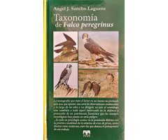 TAXONOMÍA DE FALCO PEREGRINUS