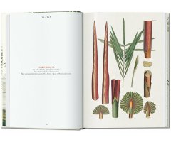THE BOOK OF PALMS. EDICIÓN 40 ANIVERSARIO 2
