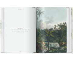 THE BOOK OF PALMS. EDICIÓN 40 ANIVERSARIO 4