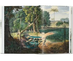 THE BOOK OF PALMS. EDICIÓN 40 ANIVERSARIO 5