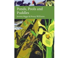 PONDS, POOLS AND PUDDLES