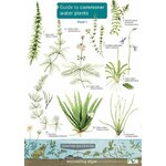 FSC WILDLIFE PACK: PONDS 3