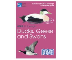 RSPB ID SPOTLIGHT: DUCKS, GEESE AND SWANS