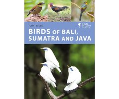 BIRDS OF BALI, SUMATRA AND JAVA