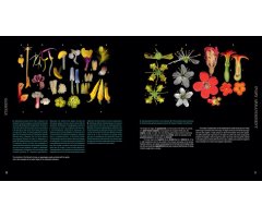 ATLAS OF FLOWERING PLANTS_1