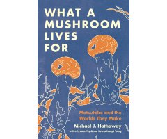 WHAT A MUSHROOM LIVES FOR