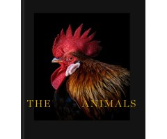 THE ANIMALS. ESTELA DE CASTRO