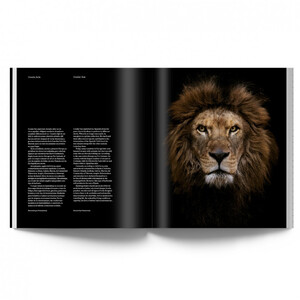 THE ANIMALS. ESTELA DE CASTRO_1