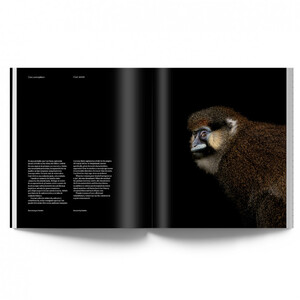 THE ANIMALS. ESTELA DE CASTRO 4