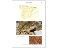 GUÍA DE LOS ANFIBIOS Y REPTILES DE ESPAÑA - TAPA DURA 4